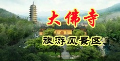 骚逼被鸡巴抽插到高潮喷水视频中国浙江-新昌大佛寺旅游风景区